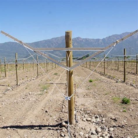 vineyard trellis posts for sale.